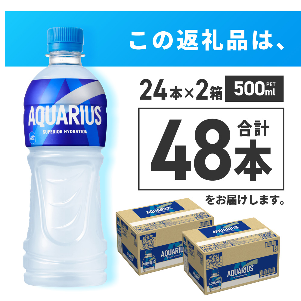 アクエリアス500mlPET×48本｜コカ・コーラ 飲料 ドリンク 飲み物 スポーツドリンク スポドリ 北海道 札幌市