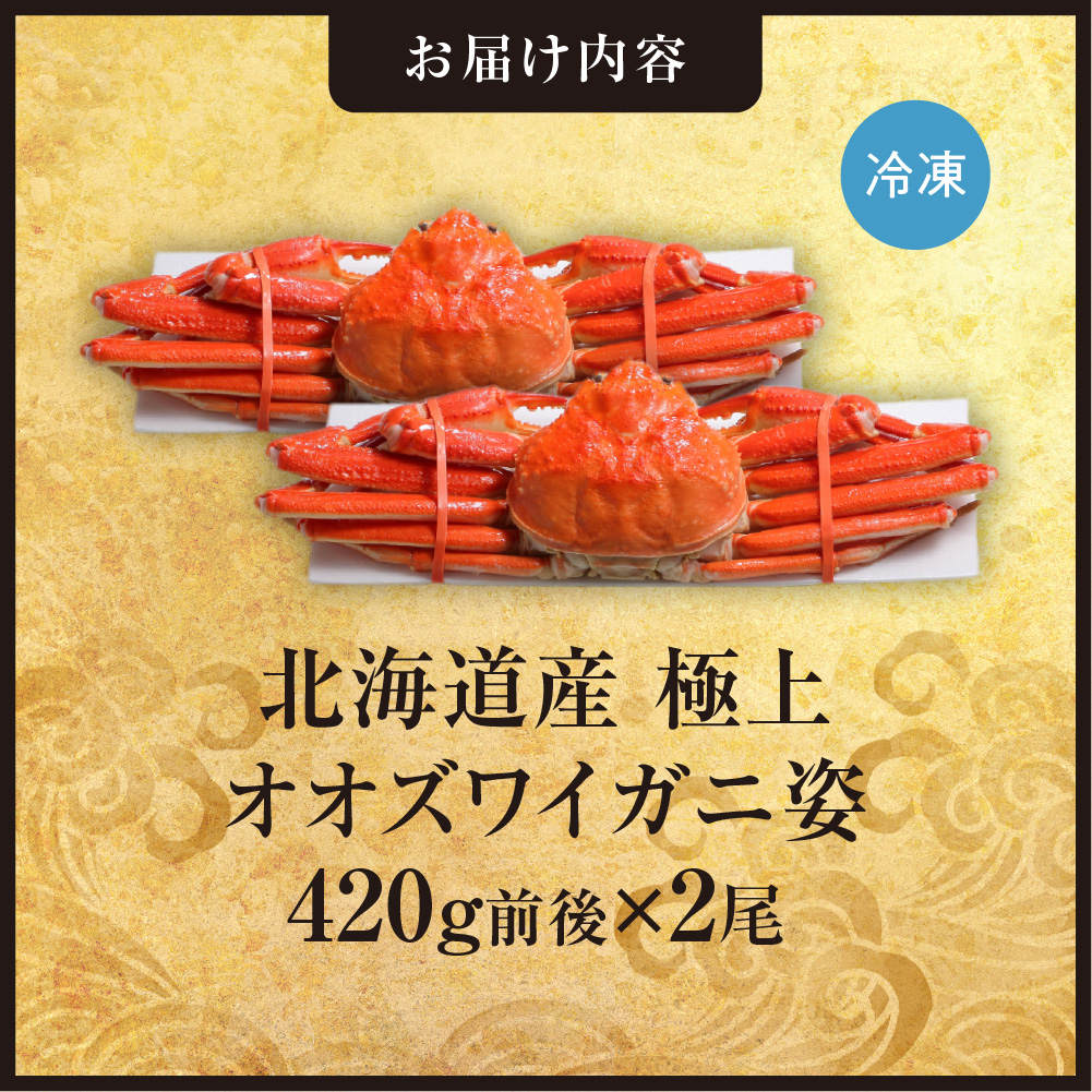 蛹玲オキ驕鍋肇讌オ荳翫が繧ェ繧コ繝ッ繧、繧ャ繝句ァソ縲420g蜑榊セ古2蟆セ繧サ繝繝