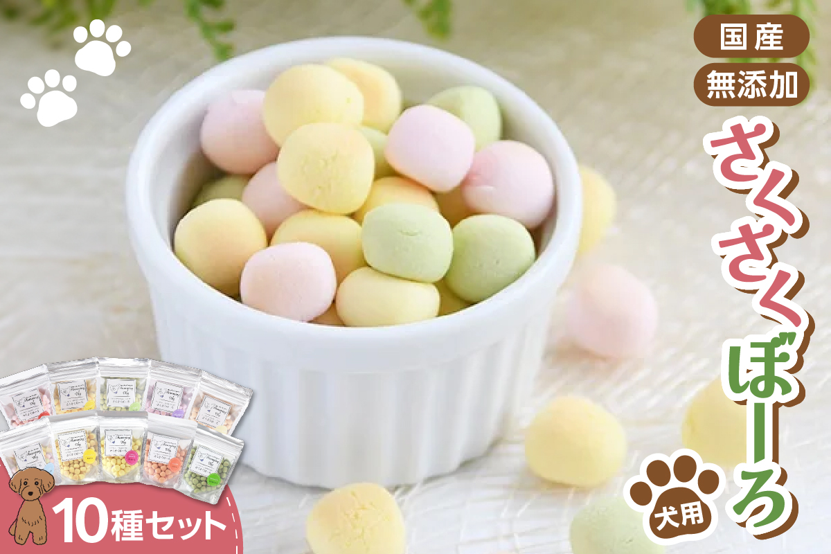 Humming Dog さくさくぼーろ 10個セット|ペットフード おやつ 北海道 札幌市