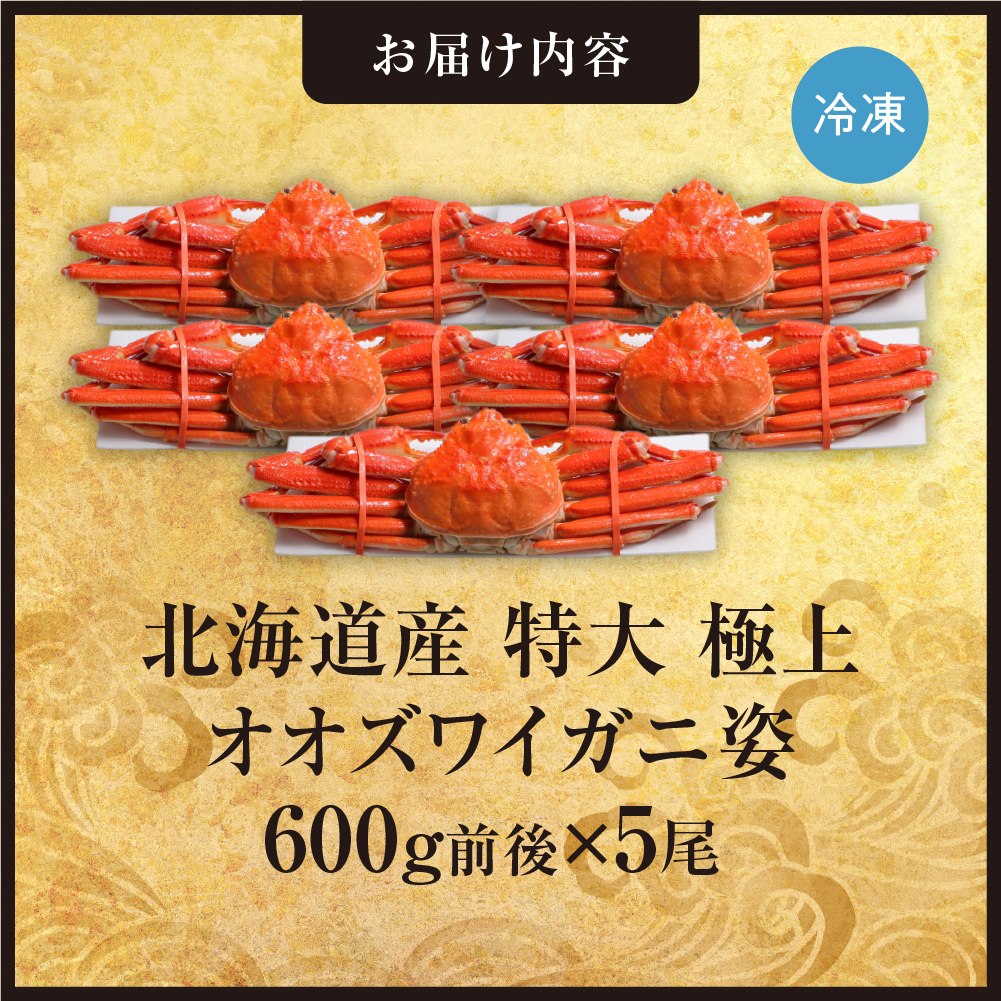 北海道産特大極上オオズワイガニ姿　600g前後×5尾セット
