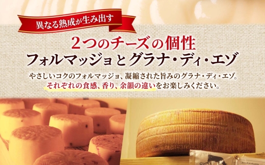 熟成チーズ2種食べ比べ ｜ ファットリアビオ北海道 フォルマッジョ グラナディエゾ チーズ セット 北海道 札幌市