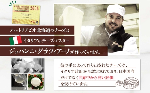 モッツァレラ 100g×3｜チーズ モッツァレラチーズ 北海道 札幌市