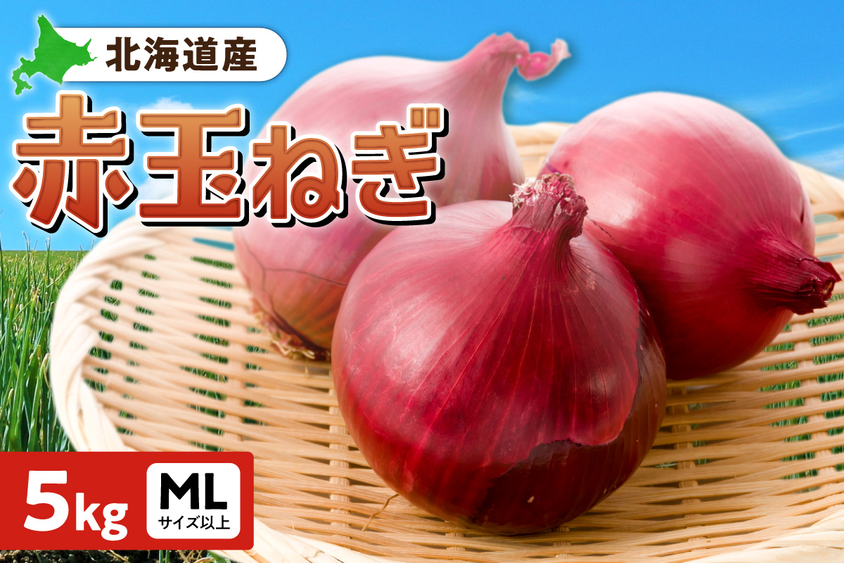 赤玉ねぎ 北海道産 5kg MLサイズ以上 | たまねぎ 野菜 北海道 札幌市