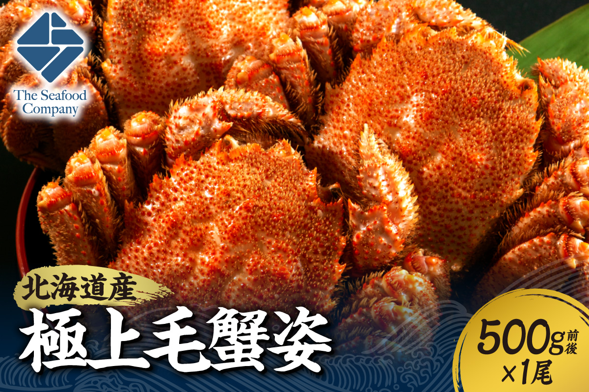 極上毛蟹姿　500g前後×1尾