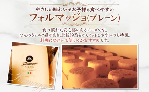 熟成チーズ2種食べ比べ ｜ ファットリアビオ北海道 フォルマッジョ グラナディエゾ チーズ セット 北海道 札幌市