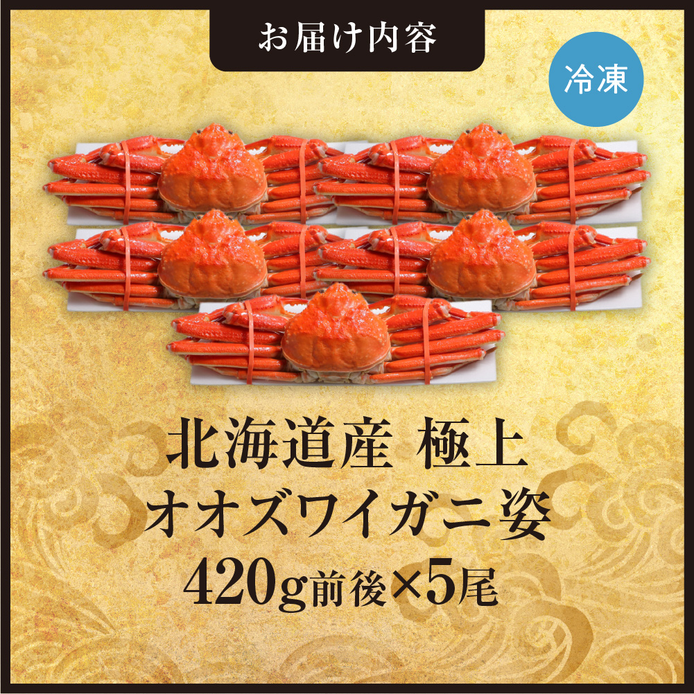 蛹玲オキ驕鍋肇讌オ荳翫が繧ェ繧コ繝ッ繧、繧ャ繝句ァソ縲420g蜑榊セ古5蟆セ繧サ繝繝