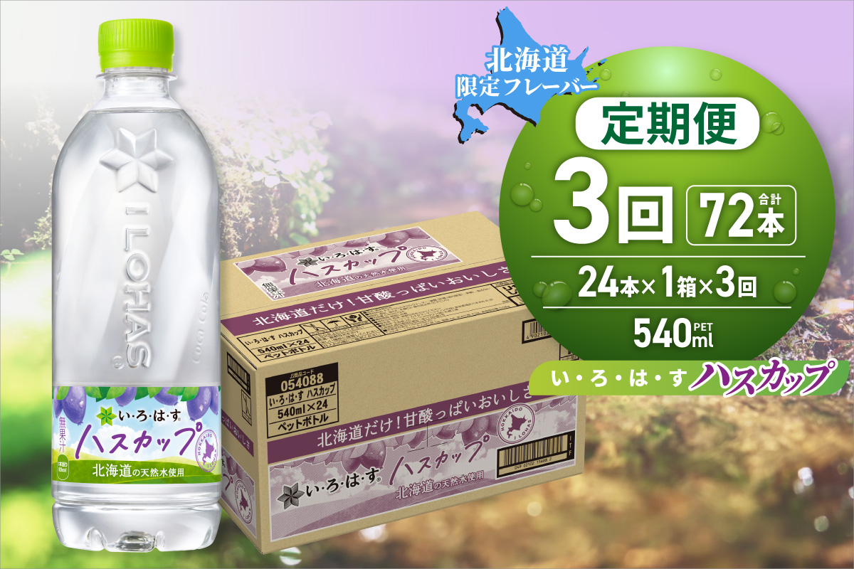 【３ヶ月定期便】い・ろ・は・す ハスカップ　540mlPET×24本｜コカ・コーラ 北海道限定 フレーバー 飲料  水 いろはす 北海道 札幌市