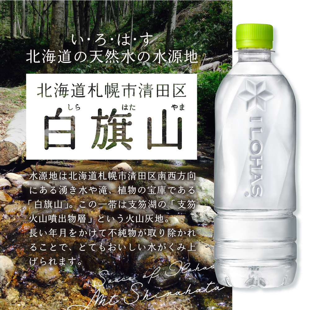 縲3繝カ譛亥ョ壽悄萓ソ縲代>繝サ繧阪サ縺ッ繝サ縺 蛹玲オキ驕薙ョ螟ゥ辟カ豌エ 繝ゥ繝吶Ν繝ャ繧ケ 540mlPETテ24譛ャス懊さ繧ォ繝サ繧ウ繝シ繝ゥ 鬟イ譁 繝峨Μ繝ウ繧ッ 鬟イ縺ソ迚ゥ 豌エ 縺繧阪ッ縺 蛹玲オキ驕 譛ュ蟷悟ク