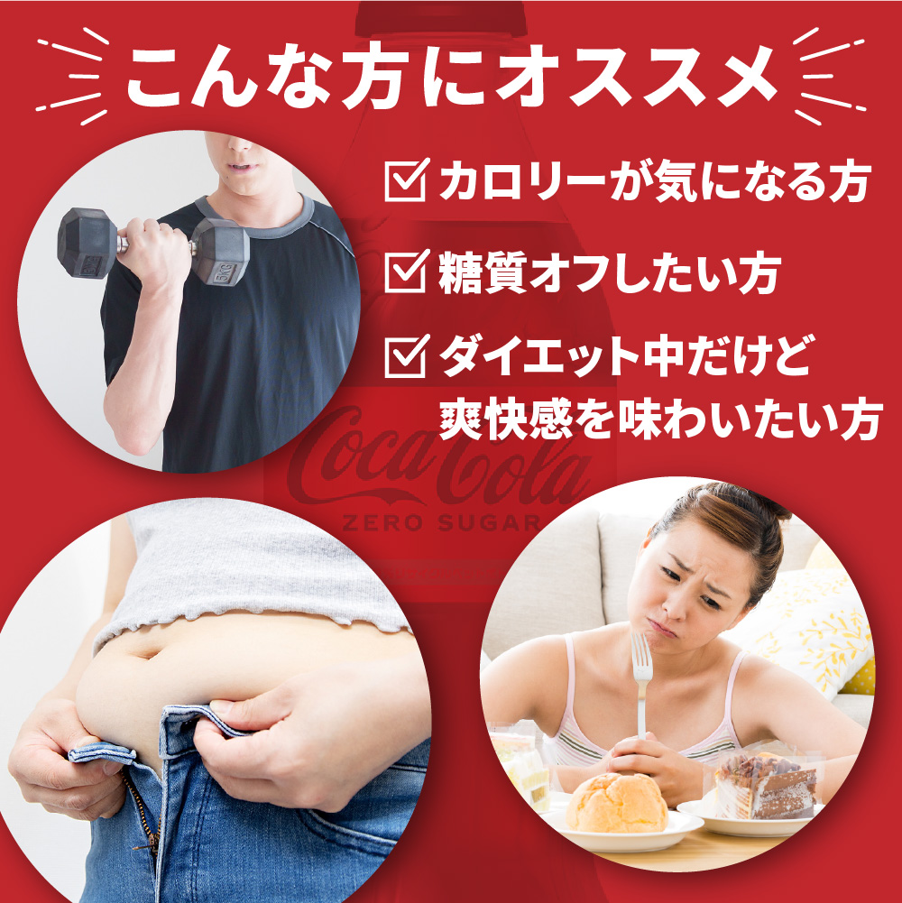 【２ヶ月定期便】コカ・コーラ　ゼロ500mlPET×24本