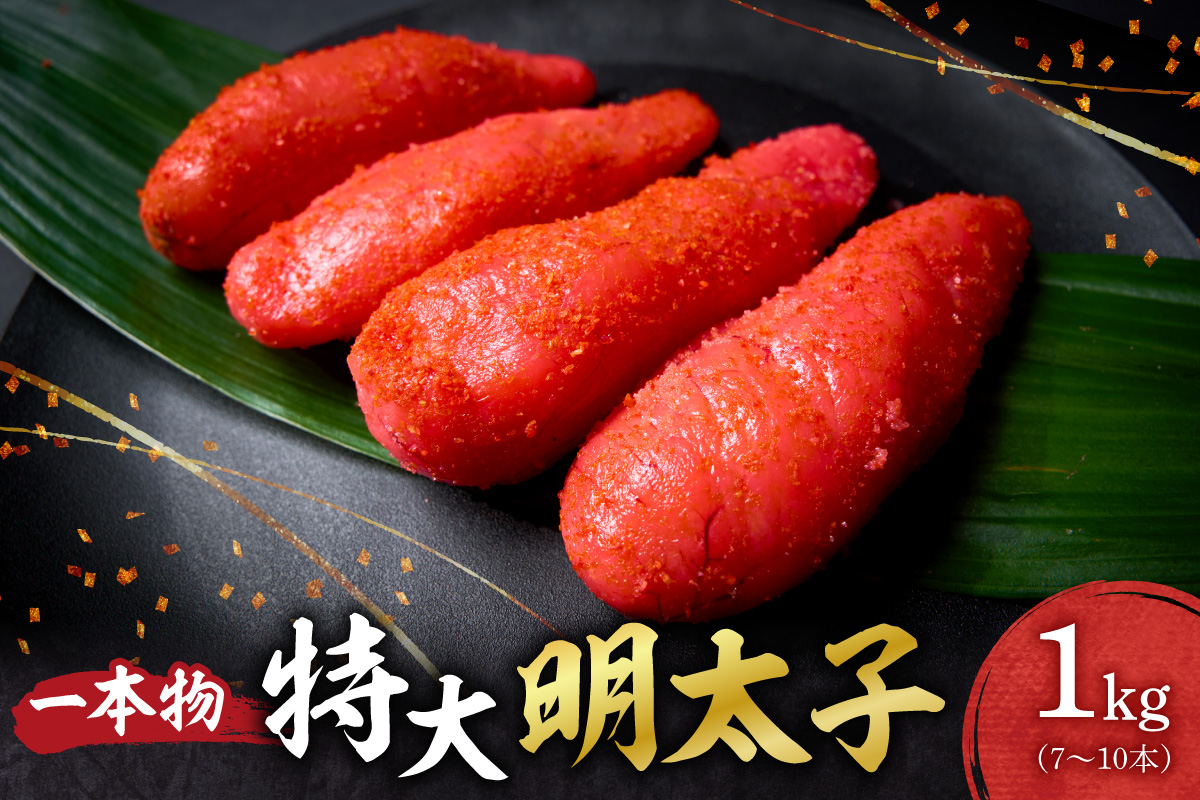 特大一本物明太子 ｜ 明太子 1kg 魚卵 北海道 札幌市