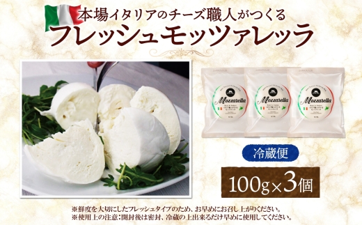 モッツァレラ 100g×3｜チーズ モッツァレラチーズ 北海道 札幌市