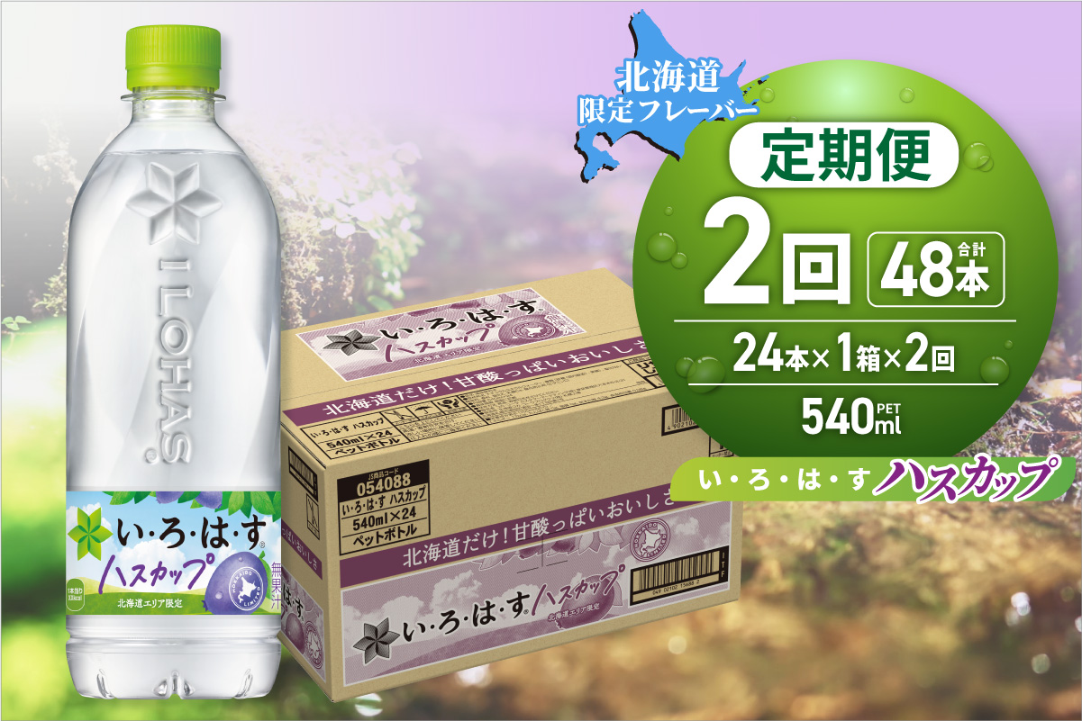 【２ヶ月定期便】い・ろ・は・す ハスカップ　540mlPET×24本｜コカ・コーラ 北海道限定 フレーバー 飲料  水 いろはす 北海道 札幌市