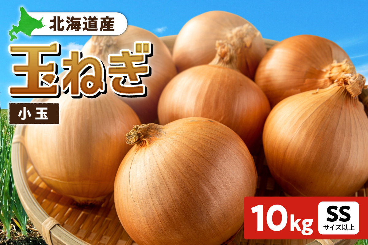 玉ねぎ 北海道産 小玉 10kg SSサイズ以上 | たまねぎ 野菜 北海道 札幌市