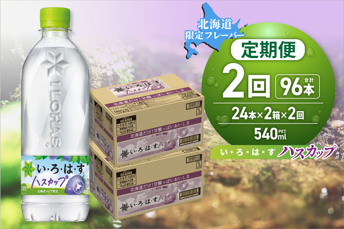 【２ヶ月定期便】い・ろ・は・す ハスカップ　540mlPET×48本｜コカ・コーラ 飲料 ドリンク 飲み物 水 いろはす 北海道 札幌市