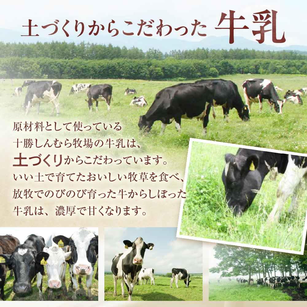 幸せカタラーナS×2