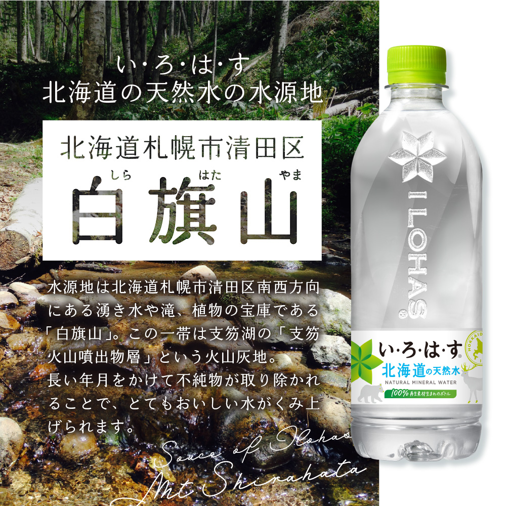 縺繝サ繧阪サ縺ッ繝サ縺 蛹玲オキ驕薙ョ螟ゥ辟カ豌エ 540mlPETテ48譛ャ