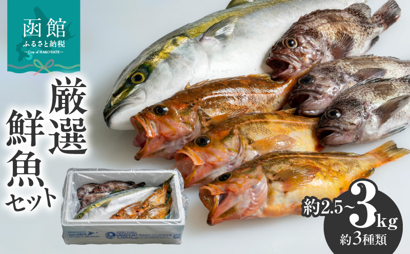 【函館産】厳選　鮮魚セット_HD156-001