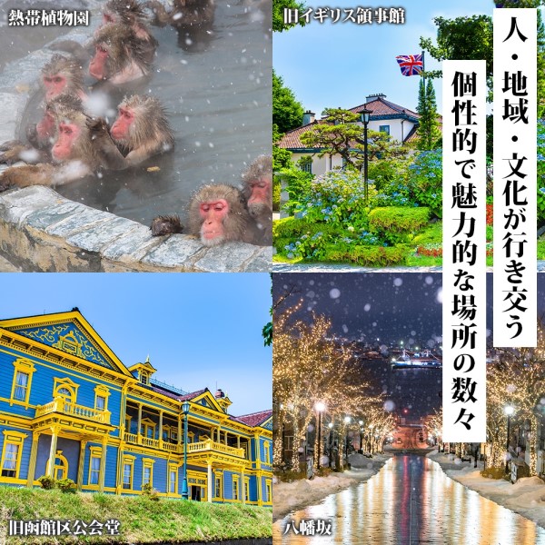 北海道 函館市 旅行クーポン 900,000円分_HD233-005