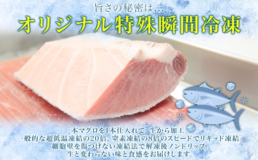 松前産 本マグロ 中トロ 約160g 柵 まぐろ 鮪 本鮪 クロマグロ マグロ 中とろ 柵取り 天然 国産 北海道産 レア 刺身 海鮮 お取り寄せ 専門店 ギフト 人気 冷凍 鮪斗 北海道 函館市_HD144-005