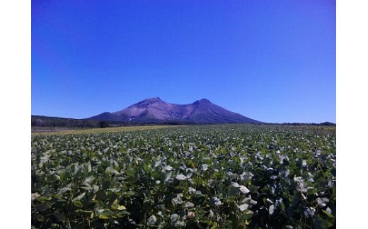 函館たまふくら納豆　（45g×2）×15個入_HD110-001