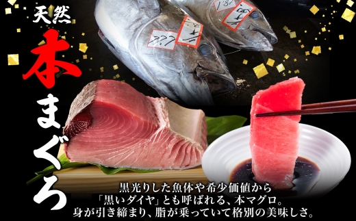 大間産 本マグロ 赤身 約160g 柵 まぐろ 鮪 本鮪 クロマグロ マグロ 柵取り 天然 国産 北海道産 レア 刺身 海鮮 海鮮丼 寿司 お取り寄せ 専門店 ギフト 人気 冷凍 鮪斗 北海道 函館市_HD144-007