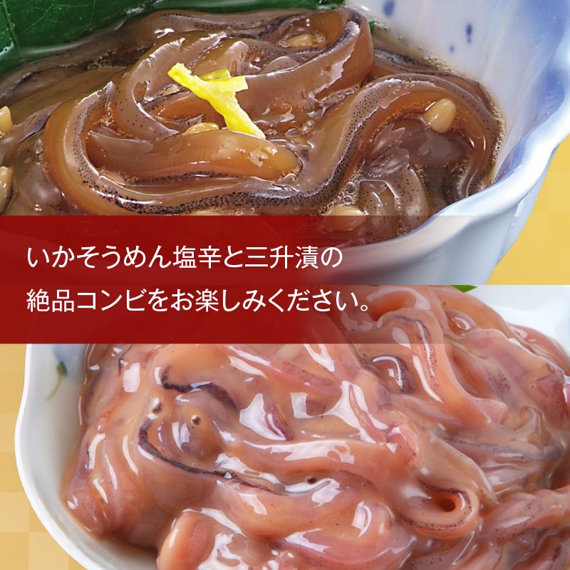 【道水】いかそうめん塩辛・三升漬食べ比べセット いか耳使用 1.1kg（110g各5袋）北海道直送_HD108-024