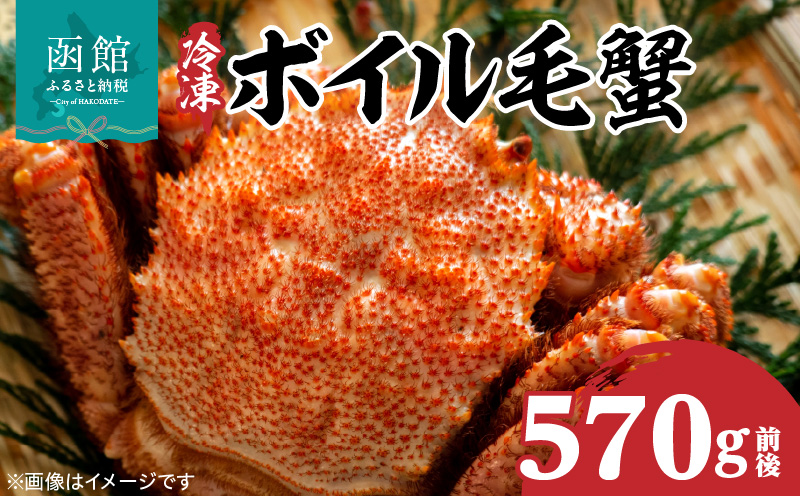 冷凍ボイル北海道名産毛蟹(570g) 1尾_HD069-031