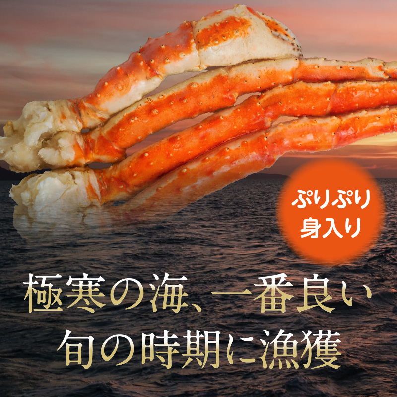 シ包シャ繧オ繧、繧コ縺溘i縺ー縺後↓閼夲シ托ス具ス_HD065-004