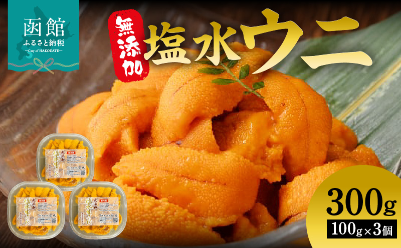 無添加塩水ウニパック(100g) ×3個セット_HD069-033