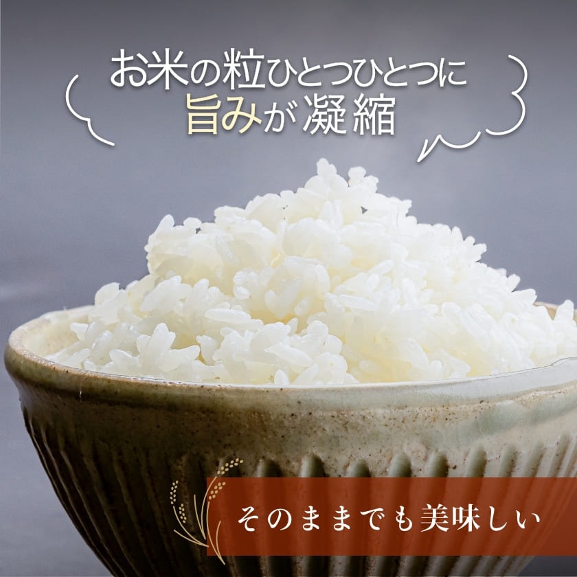 令和7年産 北海道米 函館育ち「ふっくりんこ」 10kgセット（5kg×2袋） 2025年産 米 お米 白米 北海道産 甘味 函館 はこだて_HD037-002