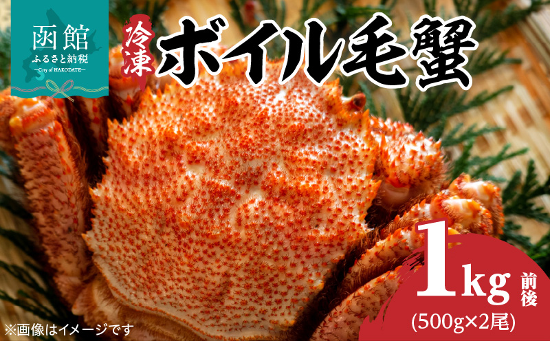 冷凍ボイル北海道名産毛蟹(500g) 2尾_HD069-030
