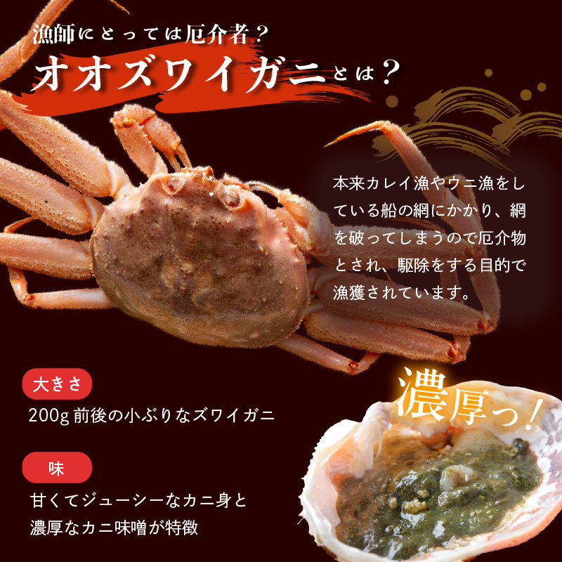 【訳あり】浜茹でオオズワイガニ 2kg 詰めセット 北海道噴火湾産 _HD206-001