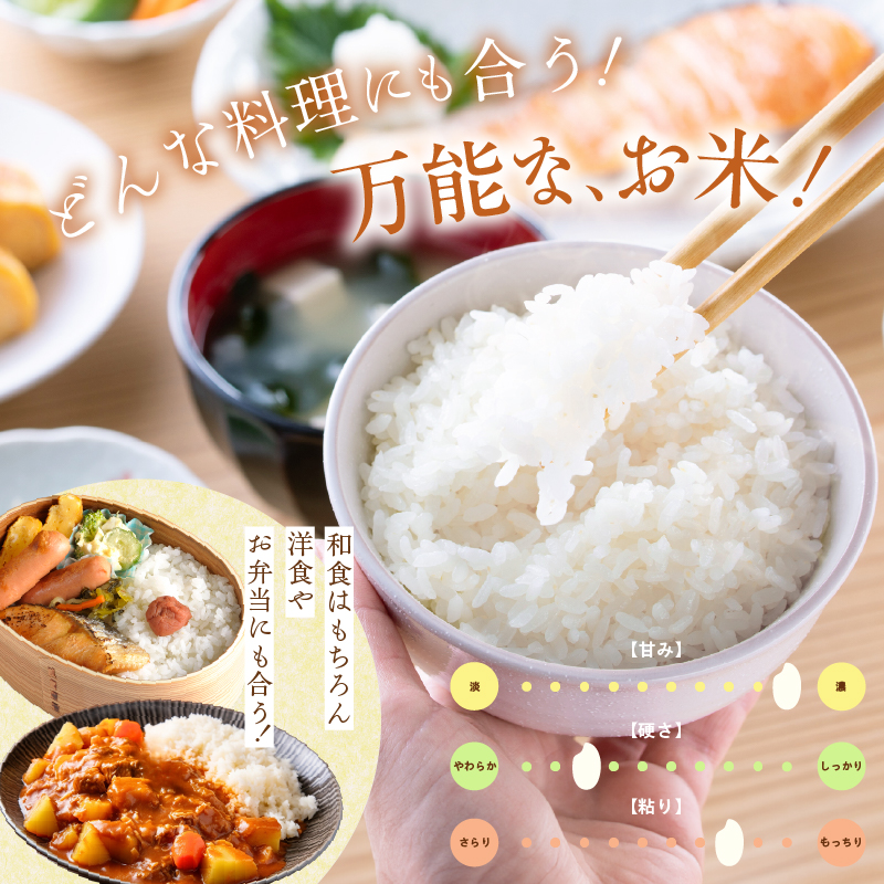 縲審7蟷エ逕」 譁ー邀ウ縲大圏豬キ驕鍋肇縺オ縺」縺上j繧薙% 5kg_HD198-002