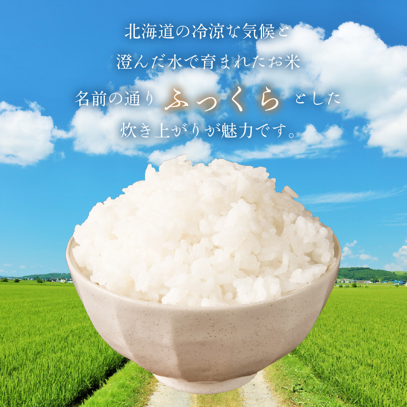 縲審7蟷エ逕」 譁ー邀ウ縲大圏豬キ驕鍋肇縺オ縺」縺上j繧薙% 5kg_HD198-002