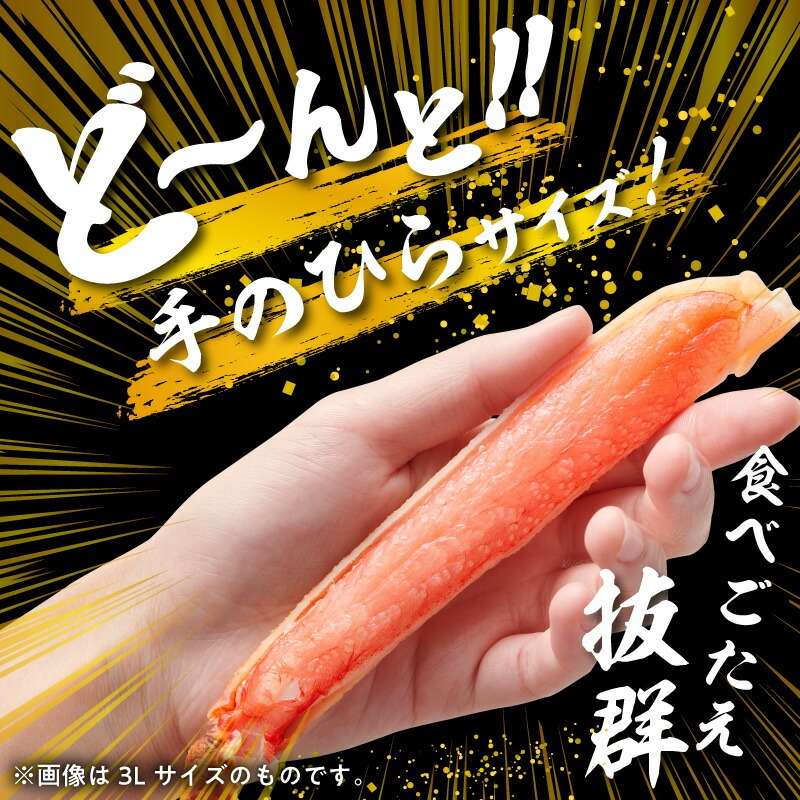 ã«ããæžã¿çããããã« 1kgïŒ3Lãµã€ãºïŒÃ2P_HD065-011