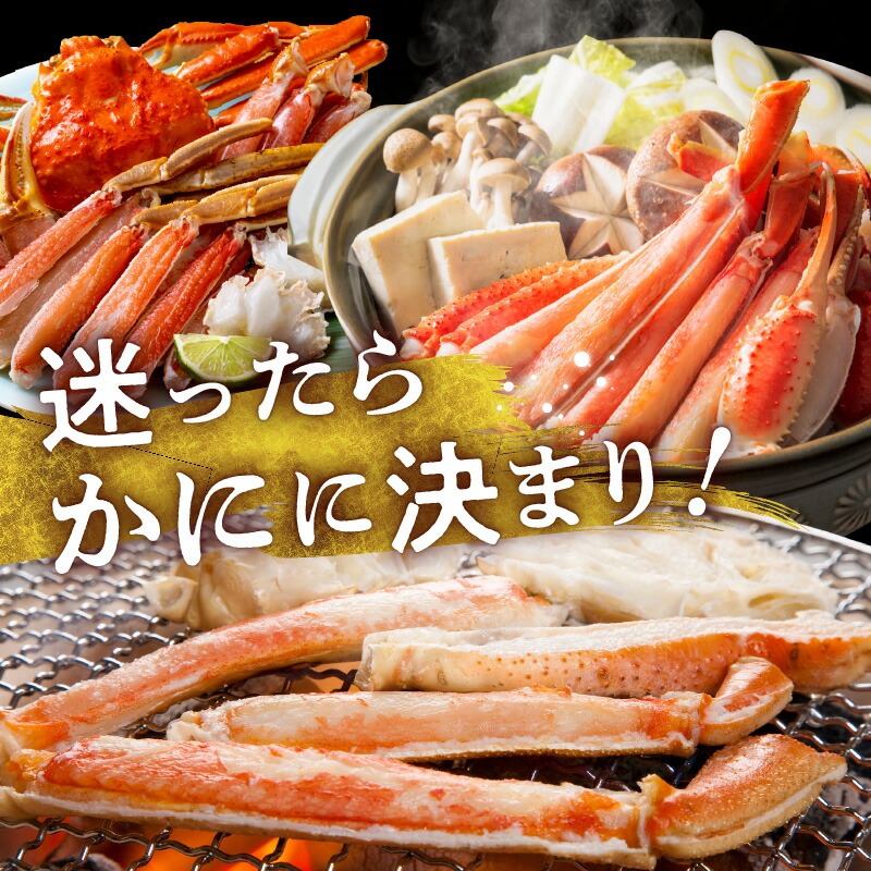 ã«ããæžã¿çããããã« 1kgïŒ3Lãµã€ãºïŒÃ2P_HD065-011