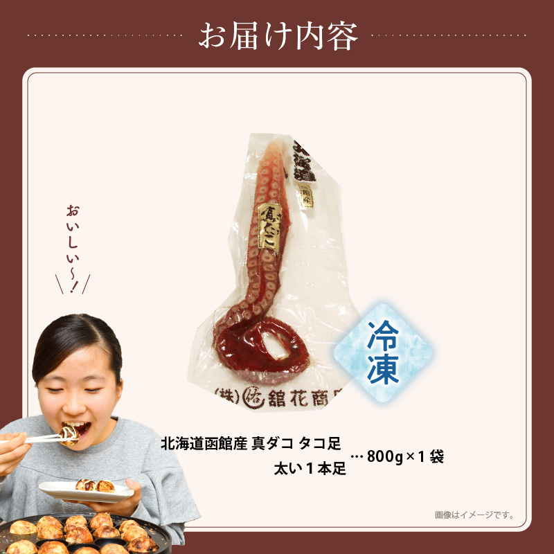 北海道函館産 真ダコ タコ足 太い1本足 800g_HD146-003