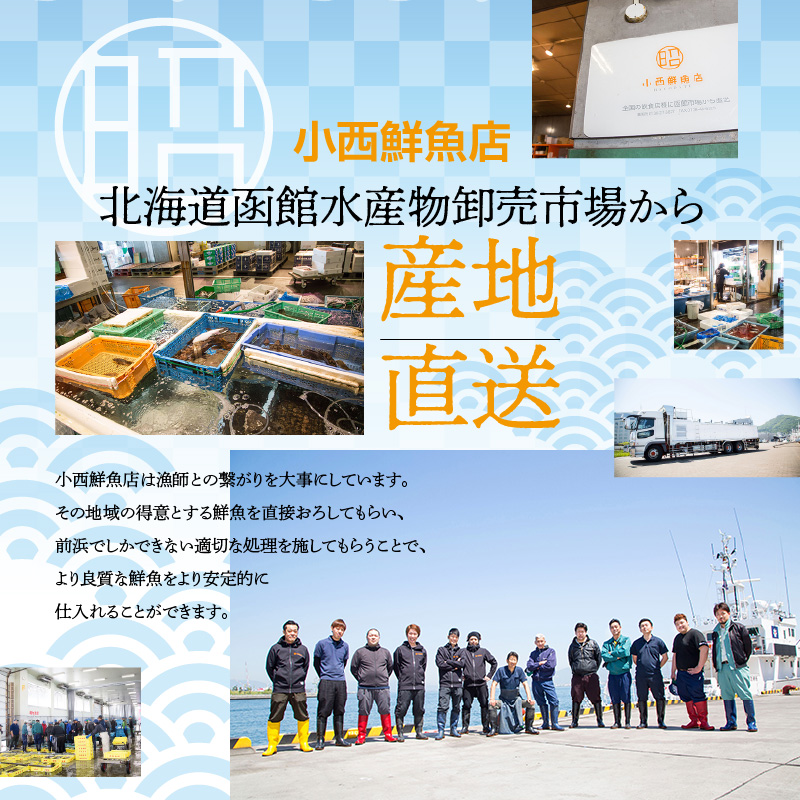 繧ォ繝ウ繧ク繝」繝ウ繧ア繧ク繝」繝ウシ2蛹ケ繧サ繝繝茨シ1kg_HD201-002