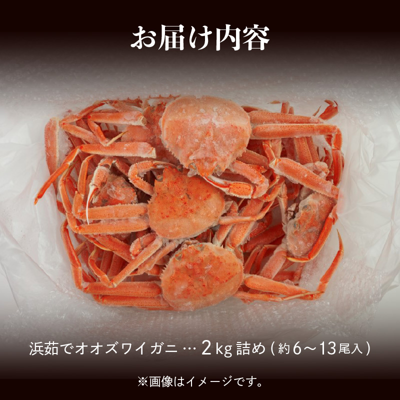 【訳あり】浜茹でオオズワイガニ 2kg 詰めセット 北海道噴火湾産 _HD206-001