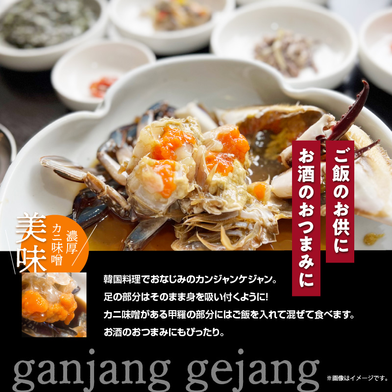 繧ォ繝ウ繧ク繝」繝ウ繧ア繧ク繝」繝ウシ2蛹ケ繧サ繝繝茨シ1kg_HD201-002