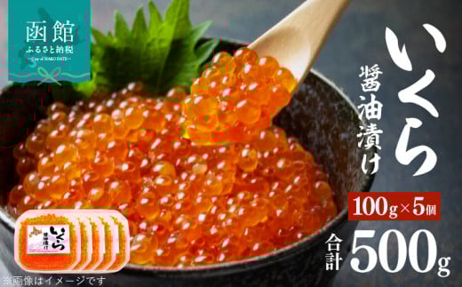 味の匠　いくら醤油漬け100g×5_HD064-008