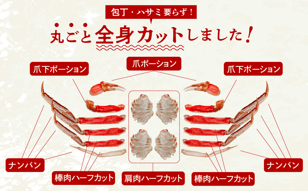 カット済み生ずわいがに 3Lサイズ（内容量1kg/総重量1.3kg）かに カニ ズワイガニ ずわいがに ズワイ ずわい 生ズワイガニ 生ずわいがに 蟹 カット済 ポーション 1kg 3Lサイズ 食べ応え 抜群 カニしゃぶ 雑炊 冷凍 グルメ 北海道 函館市 送料無料_HD065-008