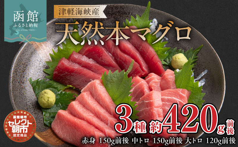 セレクト朝市「津軽海峡産天然本まぐろ」（赤身150g前後、中トロ150g前後、大トロ120g前後）_HD009-033