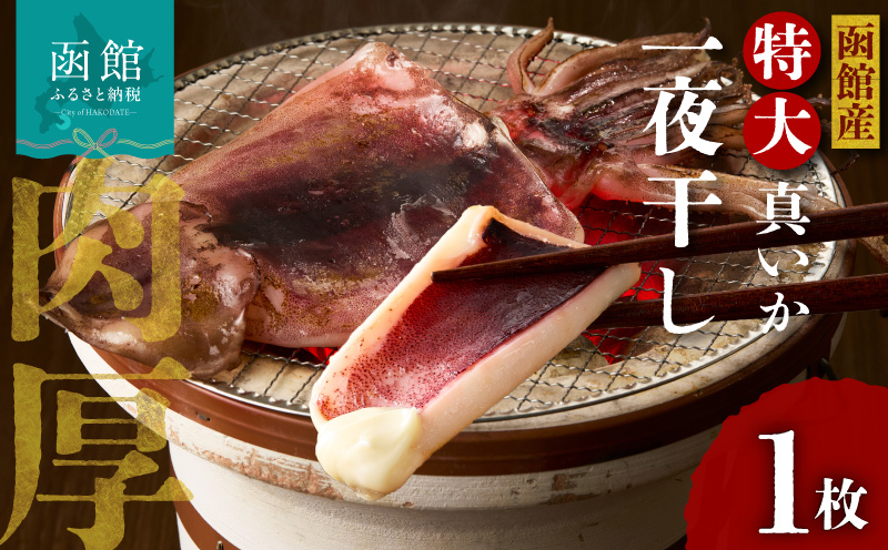 函館産 特大真いか 一夜干し 1枚 いか イカ 烏賊 特大 肉厚 干物 つまみ いか天 イカ天 冷凍 北海道 函館 はこだて_HD010-023