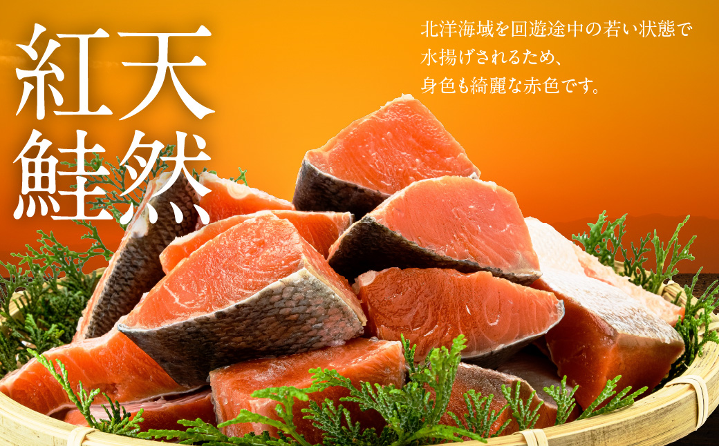 北洋産甘塩天然紅鮭切身3.6kg（切り落とし）_HD272-003