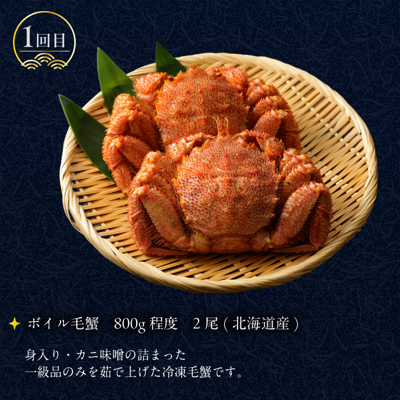 はこだて 海の幸 定期便 50万円 全6回 厳選 海の恵み 毛がに 本まぐろ たらばがに いくら 紅鮭ほぐし とろサーモン 昆布〆 いかそうめん 生ずわいがに かに 松前漬 プレミアム 海鮮瓶 鮮度抜群 海産物 月替り 堪能 お取り寄せ 50万 北海道 函館市 送料無料_HS001-006