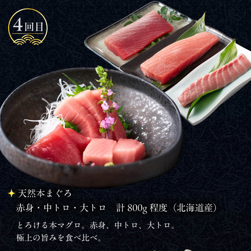はこだて 海の幸 定期便 50万円 全6回 厳選 海の恵み 毛がに 本まぐろ たらばがに いくら 紅鮭ほぐし とろサーモン 昆布〆 いかそうめん 生ずわいがに かに 松前漬 プレミアム 海鮮瓶 鮮度抜群 海産物 月替り 堪能 お取り寄せ 50万 北海道 函館市 送料無料_HS001-006