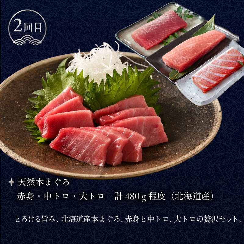 ã¯ãã ãŠæµ·ã®å¹žå®æäŸ¿ 10äžåãåæµ·éç£ãã¬ãã¢ã ïŒå
š4åïŒ_HS001-008
