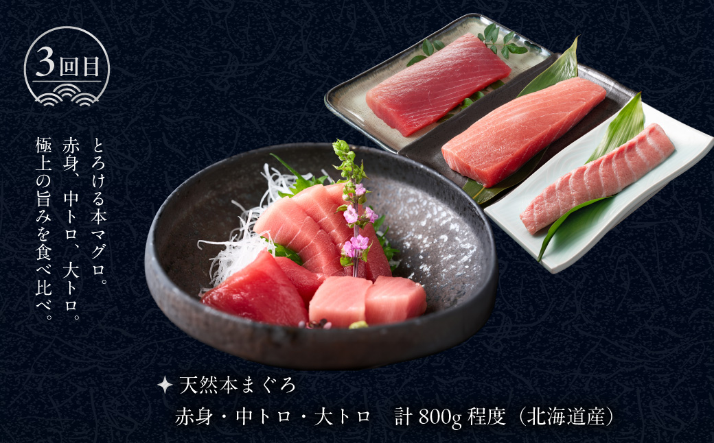 はこだて海の幸定期便 25万円（全4回）厳選 海の恵み いくら 紅鮭 鮭フレーク とろサーモン昆布 正油漬 塩だれ いかそうめん 松前漬 天然 本まぐろ 赤身 中トロ 大トロ 蟹 5L たらばがに脚 タラバ 生ずわいがに 朝市 海産物 月替り 堪能 お取り寄せ 北海道 函館市 送料無料_HS001-013