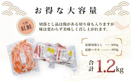 蛹玲エ狗肇逕伜。ゥ螟ゥ辟カ邏魄ュ蛻關ス縺800g縺ィ邏魄ュ繝上Λ繧ケ400g繧サ繝繝_HD272-013